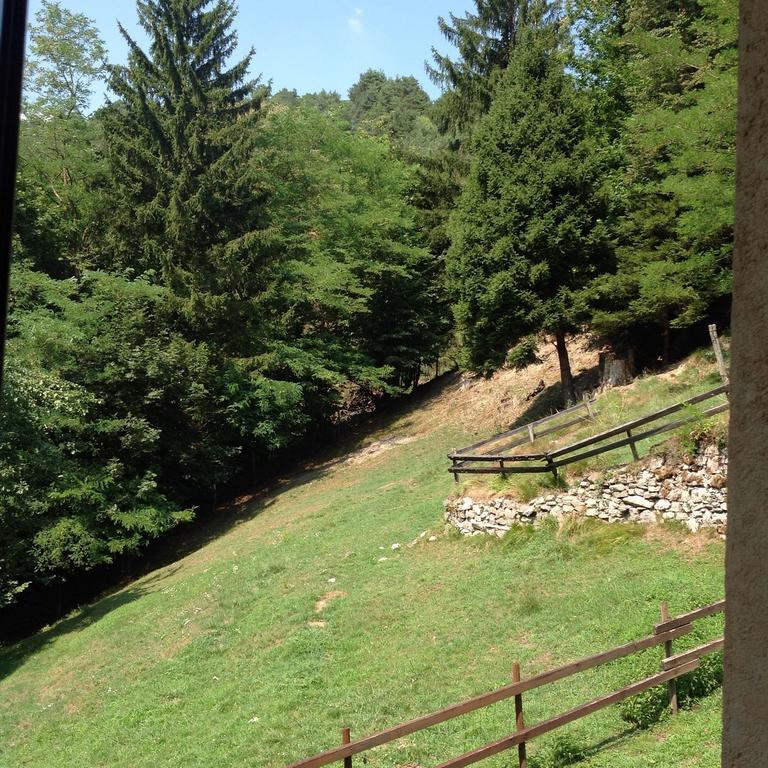 Agriturismo Barcola Grandola ed Uniti 客房 照片
