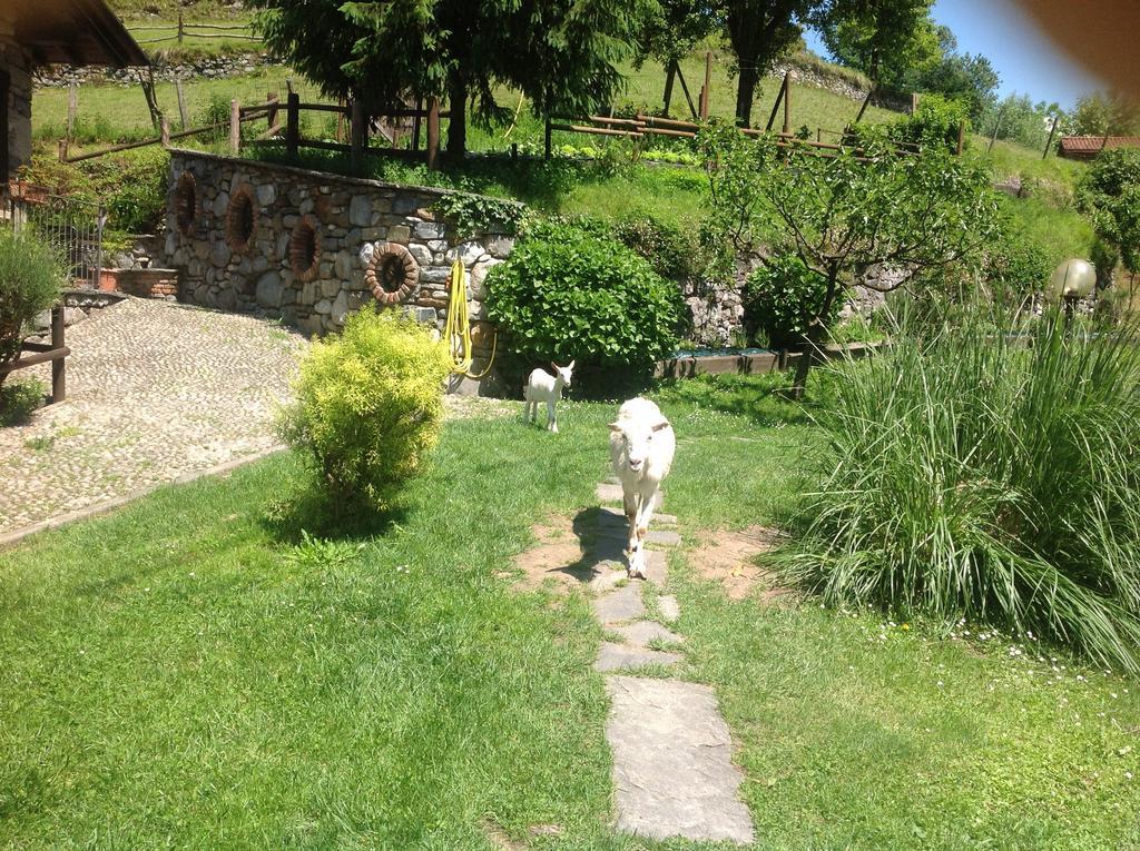 Agriturismo Barcola Grandola ed Uniti 外观 照片