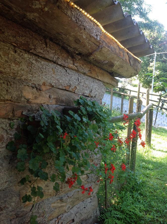 Agriturismo Barcola Grandola ed Uniti 外观 照片