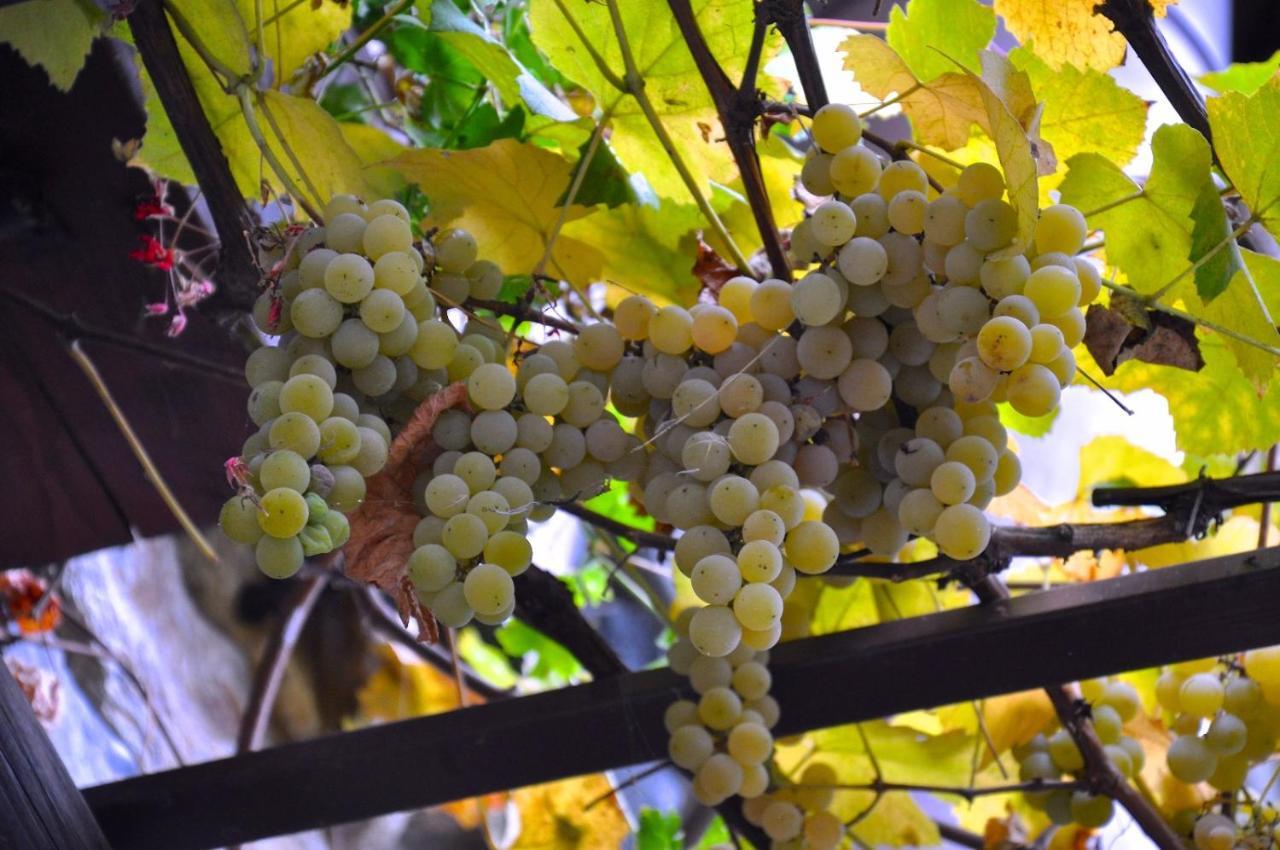 Agriturismo Barcola Grandola ed Uniti 外观 照片
