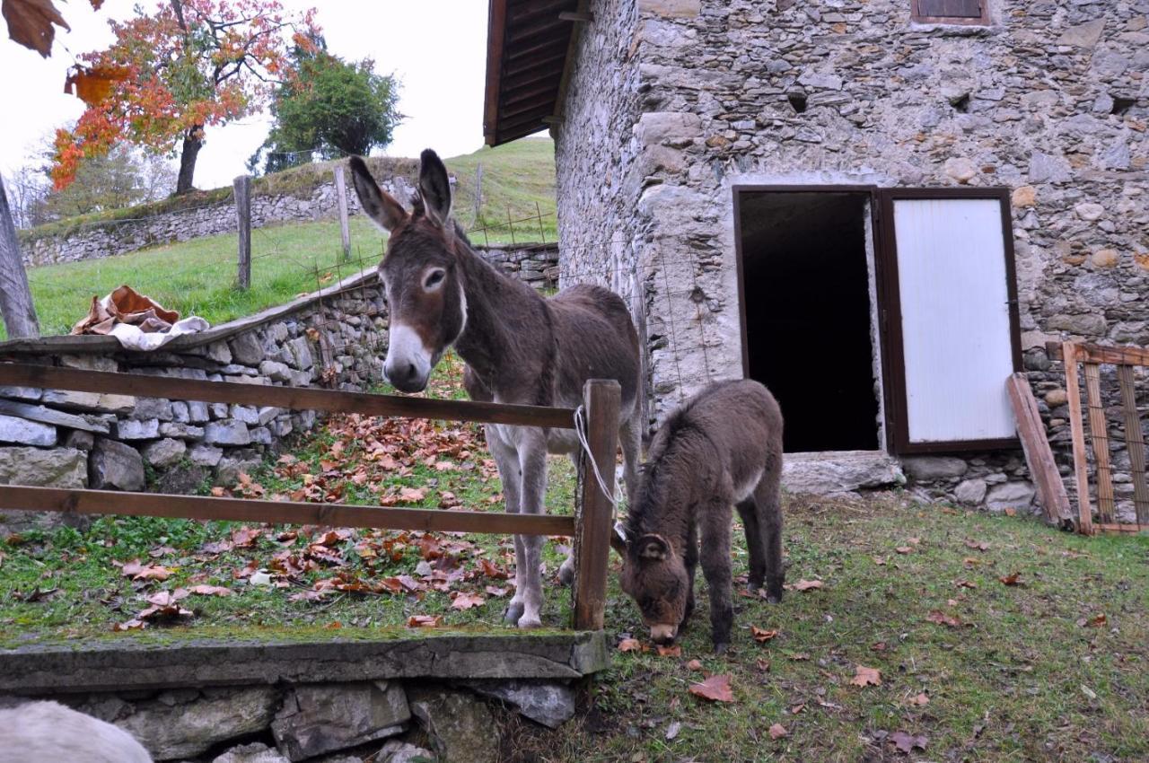 Agriturismo Barcola Grandola ed Uniti 外观 照片
