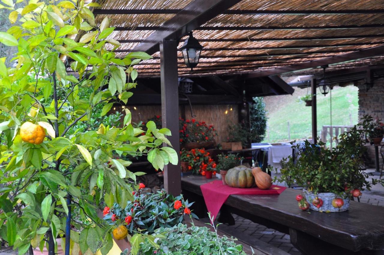 Agriturismo Barcola Grandola ed Uniti 外观 照片