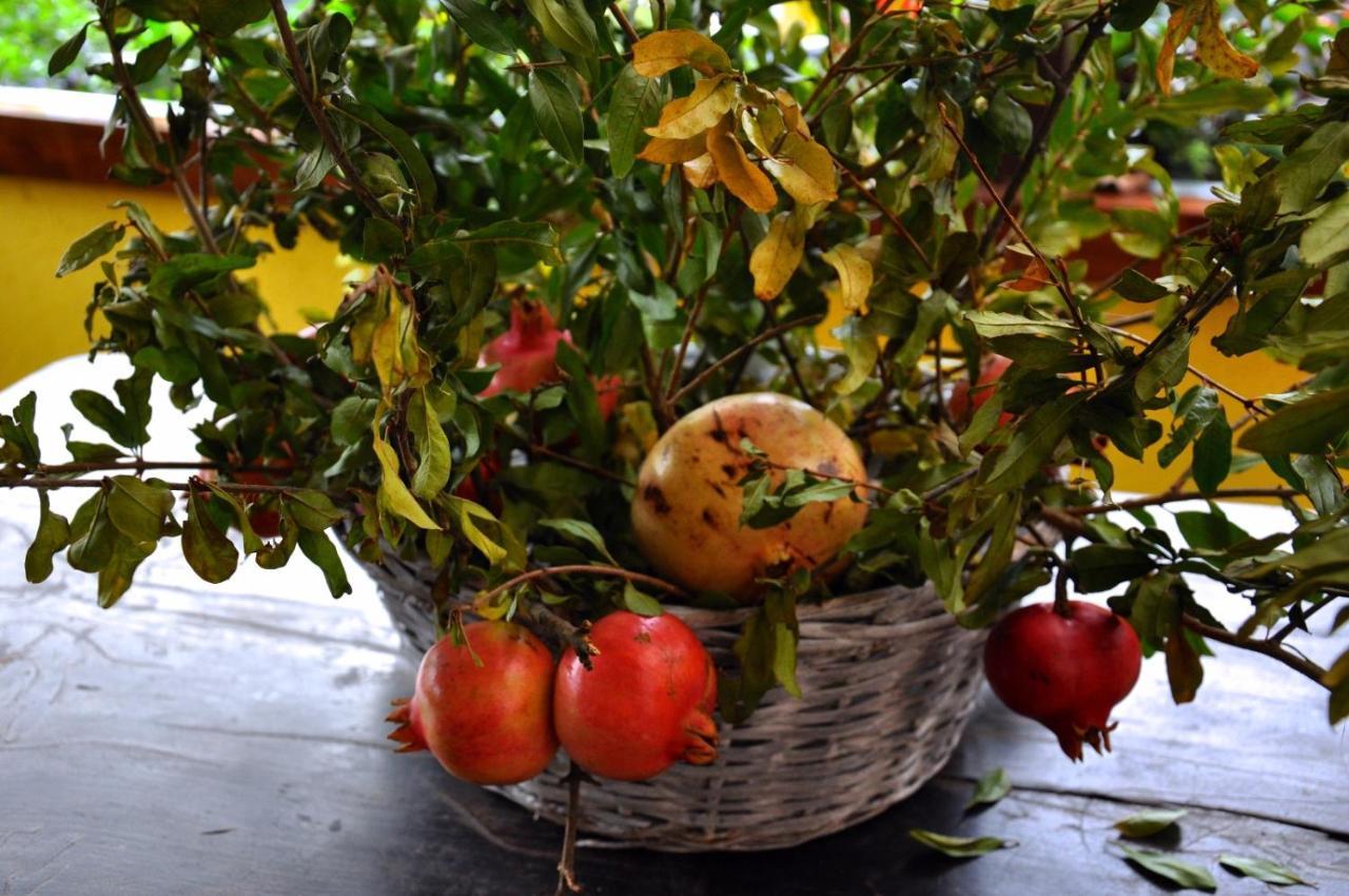 Agriturismo Barcola Grandola ed Uniti 外观 照片